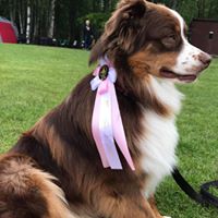 61793597_866313733767120_2860404616628011008_n